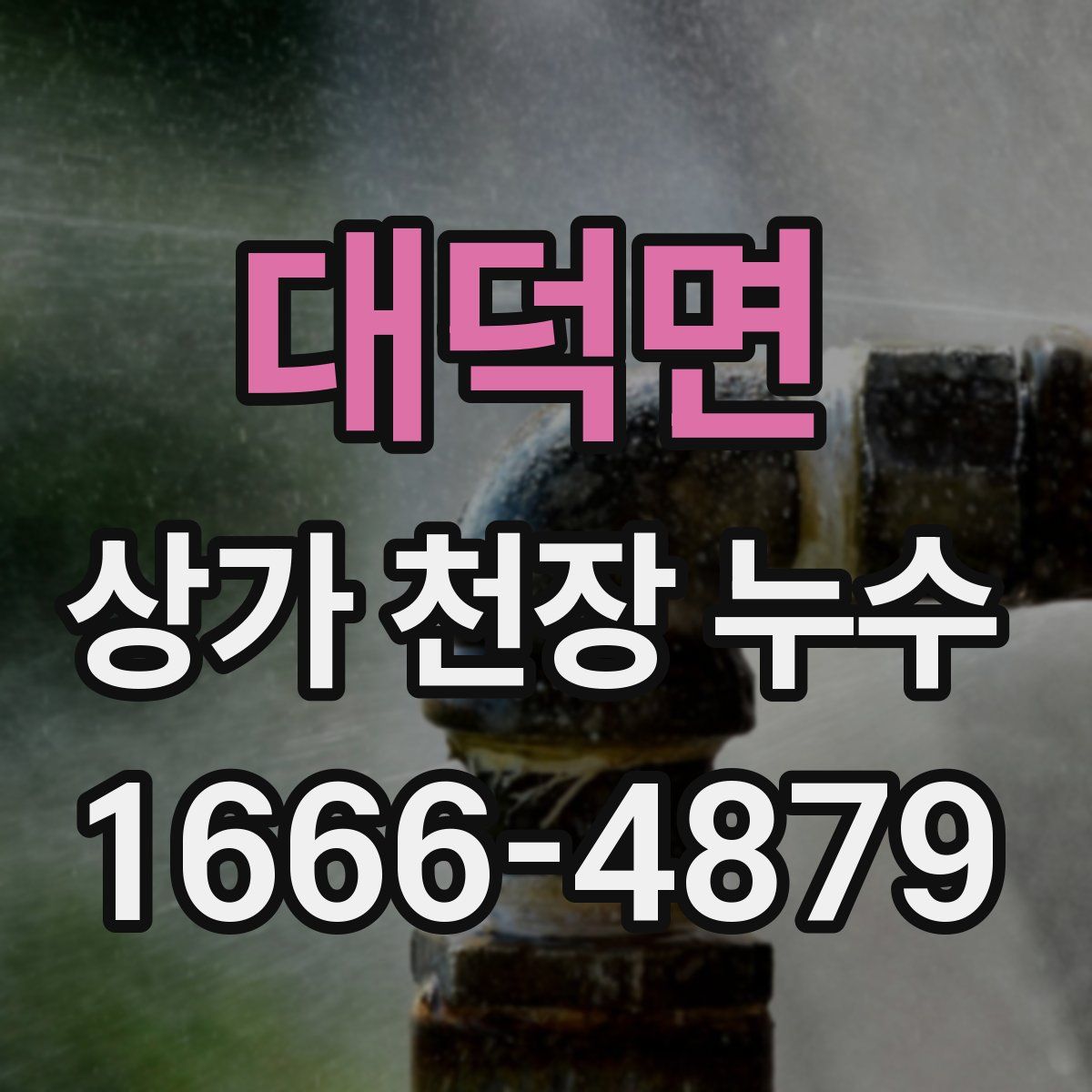 대덕면 상가 천장 누수
