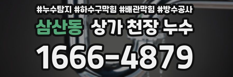 삼산동 상가 천장 누수