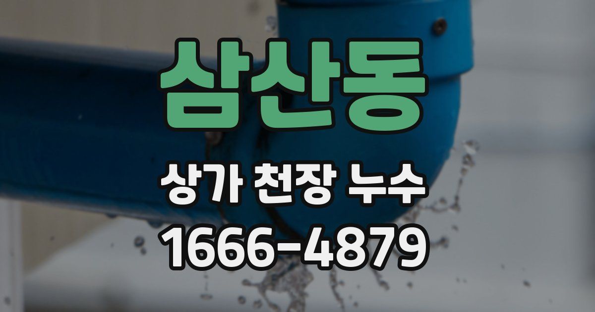삼산동 상가 천장 누수