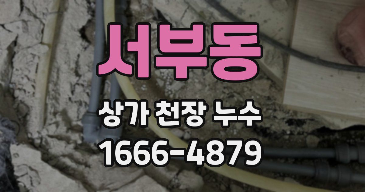 서부동 상가 천장 누수