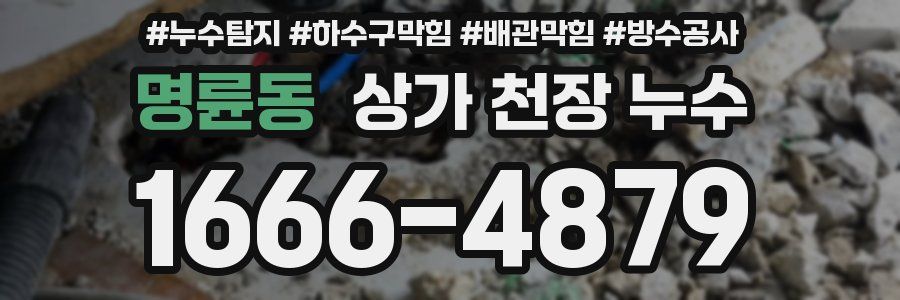 명륜동 상가 천장 누수
