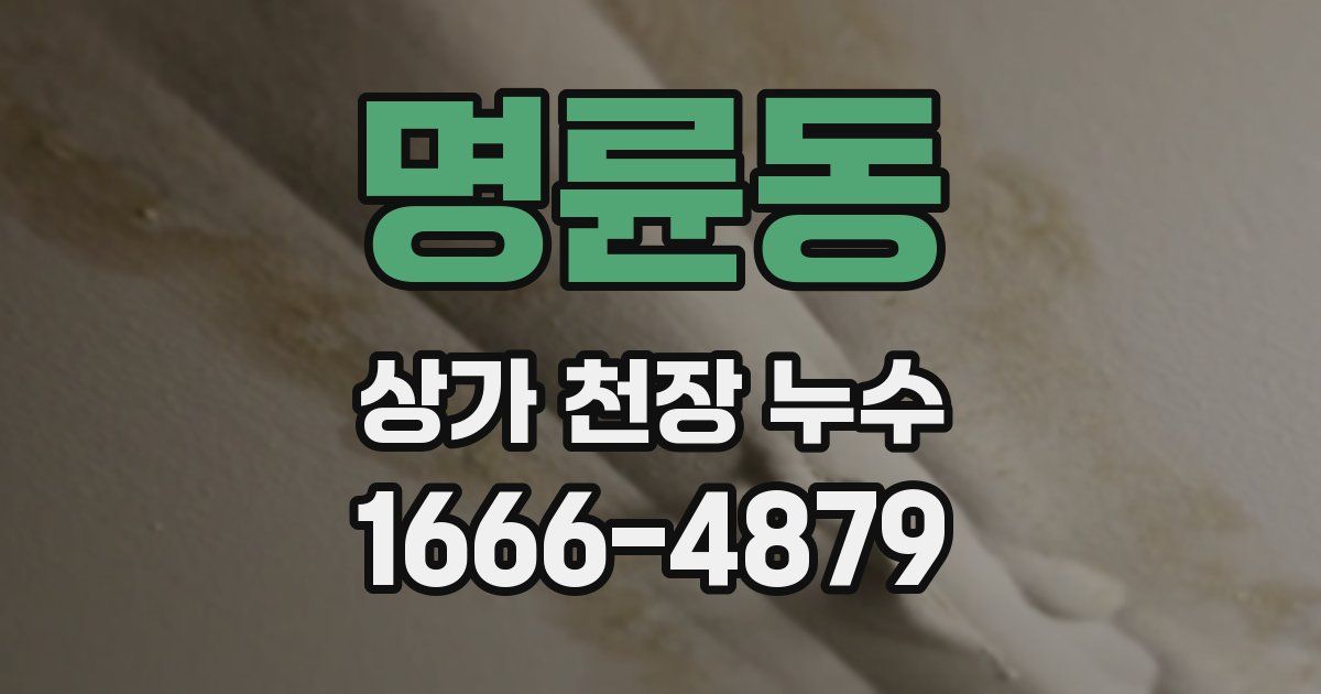 명륜동 상가 천장 누수