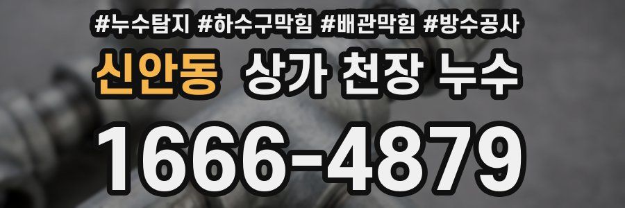 신안동 상가 천장 누수