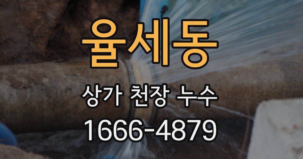 율세동 상가 천장 누수