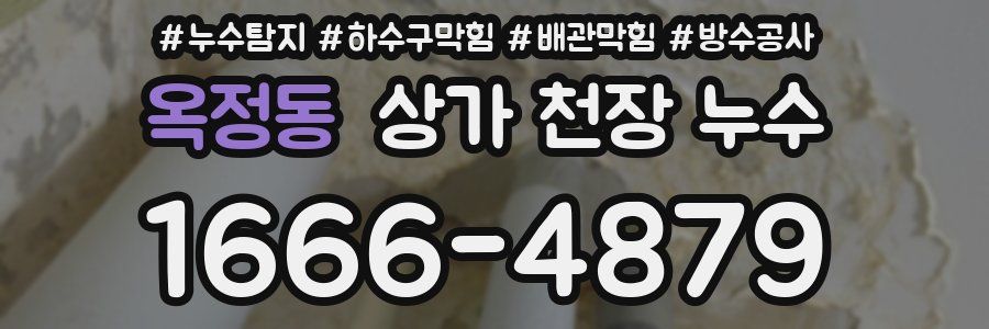 옥정동 상가 천장 누수
