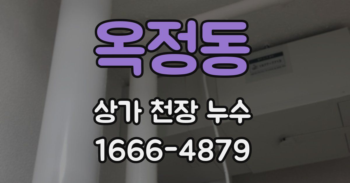 옥정동 상가 천장 누수