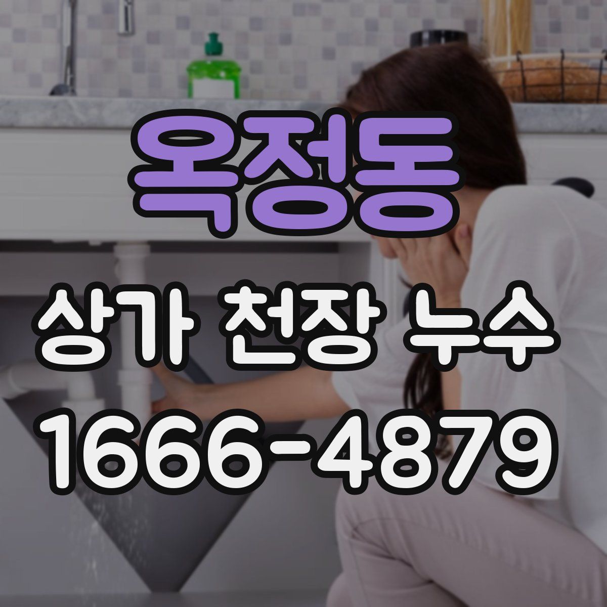 옥정동 상가 천장 누수