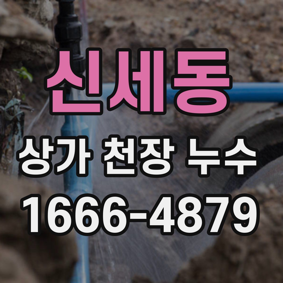 신세동 상가 천장 누수
