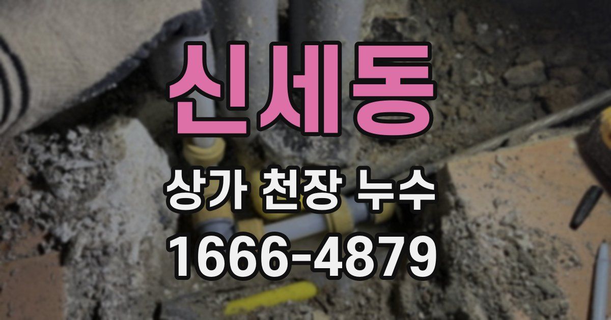 신세동 상가 천장 누수