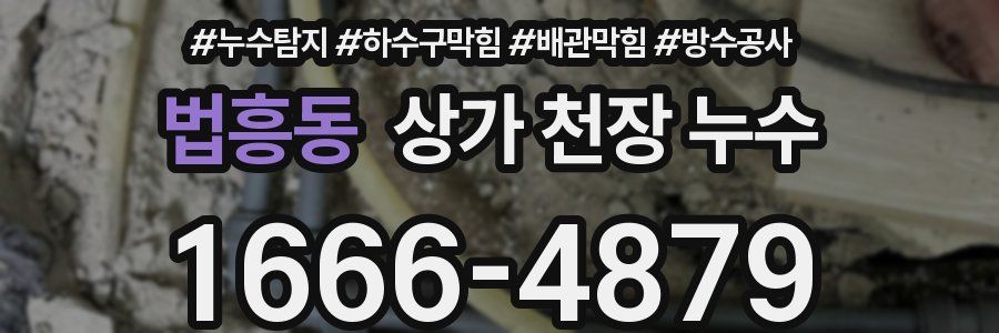 법흥동 상가 천장 누수