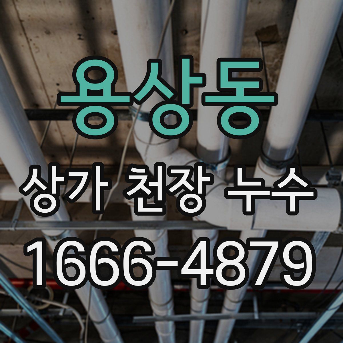 용상동 상가 천장 누수