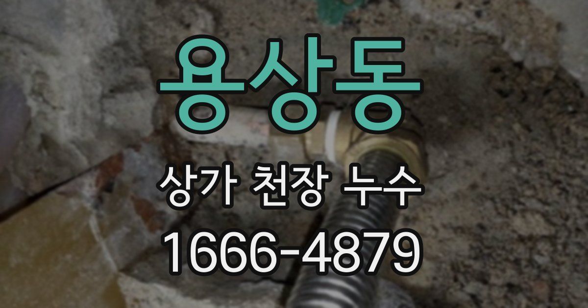 용상동 상가 천장 누수