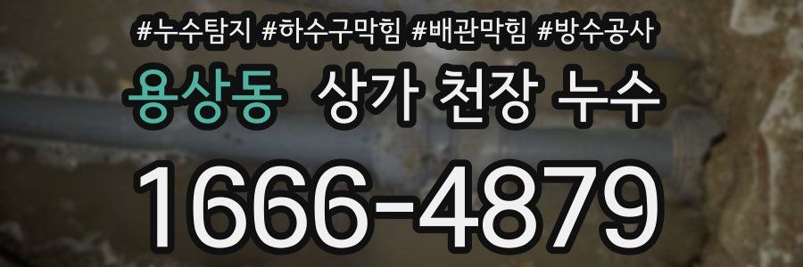용상동 상가 천장 누수
