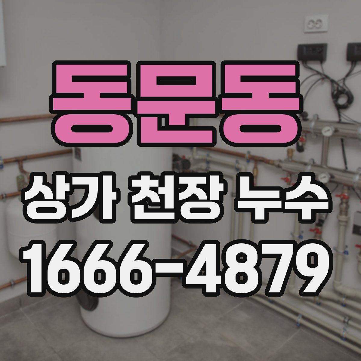 동문동 상가 천장 누수