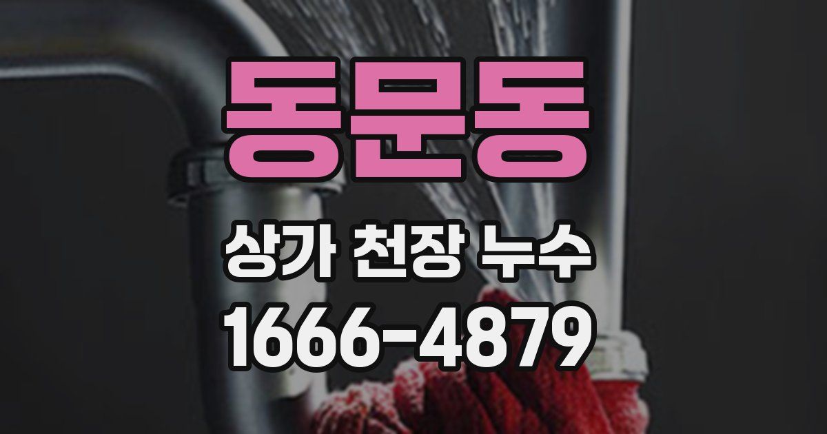 동문동 상가 천장 누수