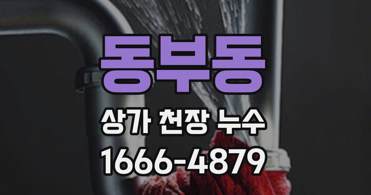 동부동 상가 천장 누수