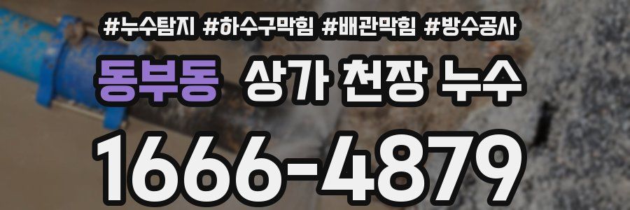 동부동 상가 천장 누수