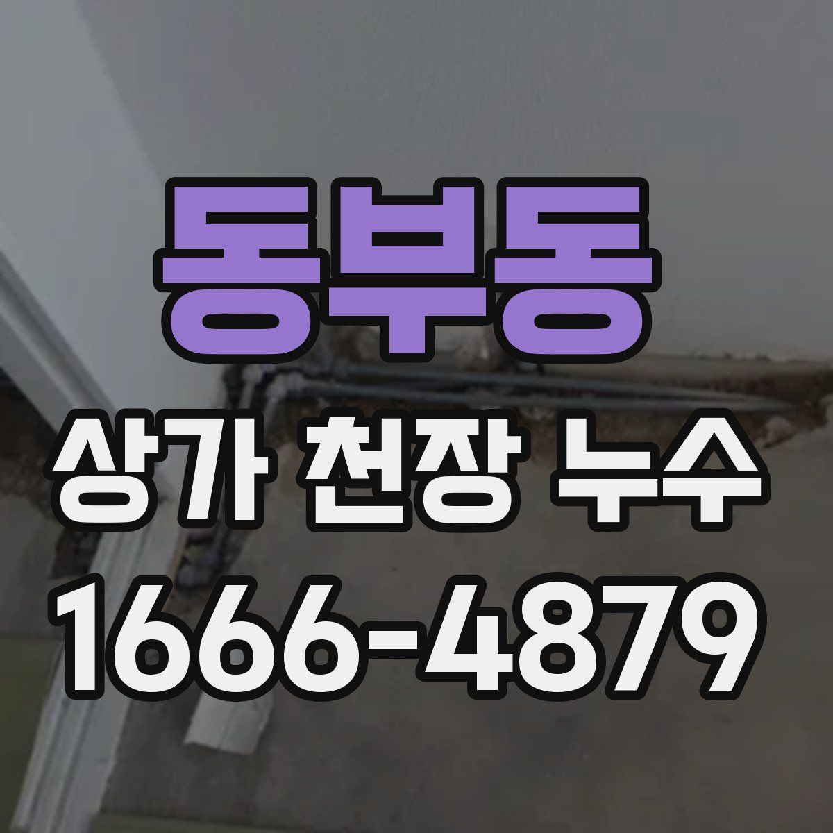 동부동 상가 천장 누수