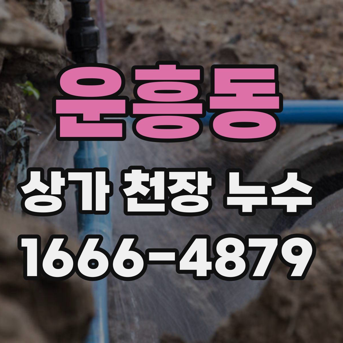 운흥동 상가 천장 누수