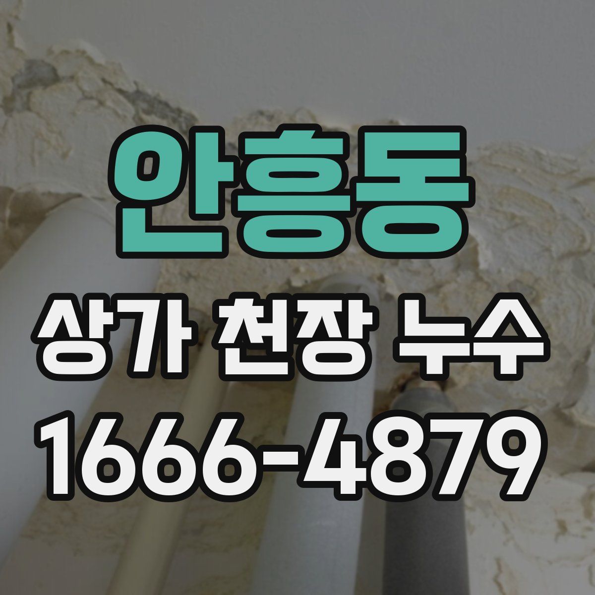 안흥동 상가 천장 누수