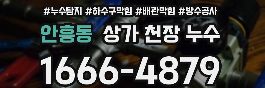안흥동 상가 천장 누수