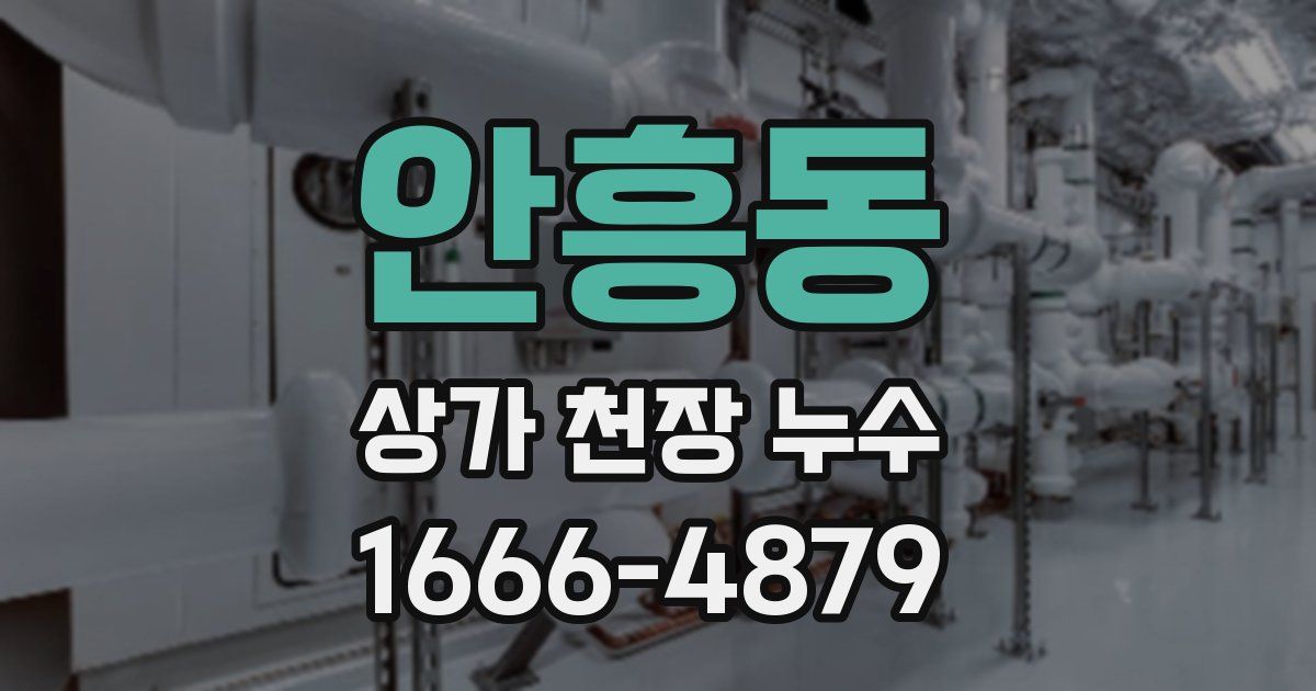 안흥동 상가 천장 누수