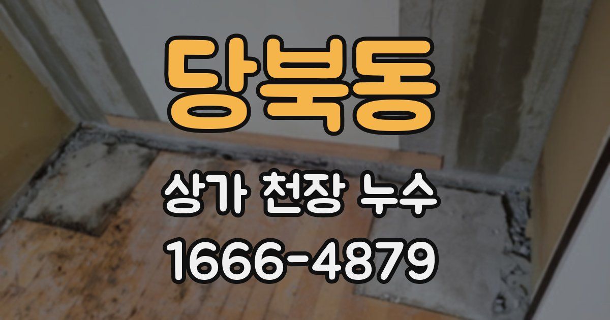 당북동 상가 천장 누수