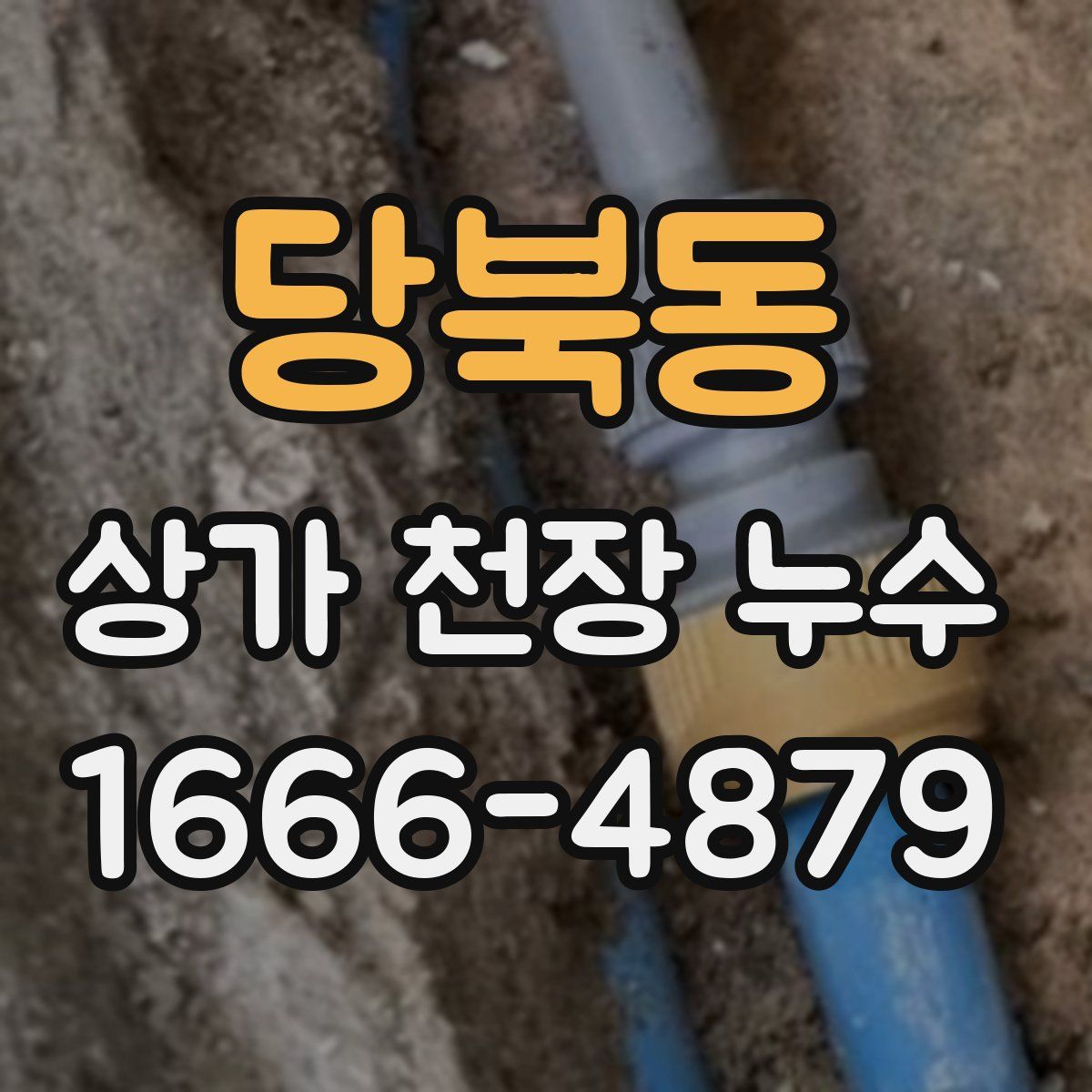 당북동 상가 천장 누수
