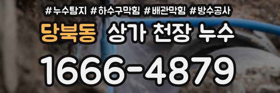 당북동 상가 천장 누수