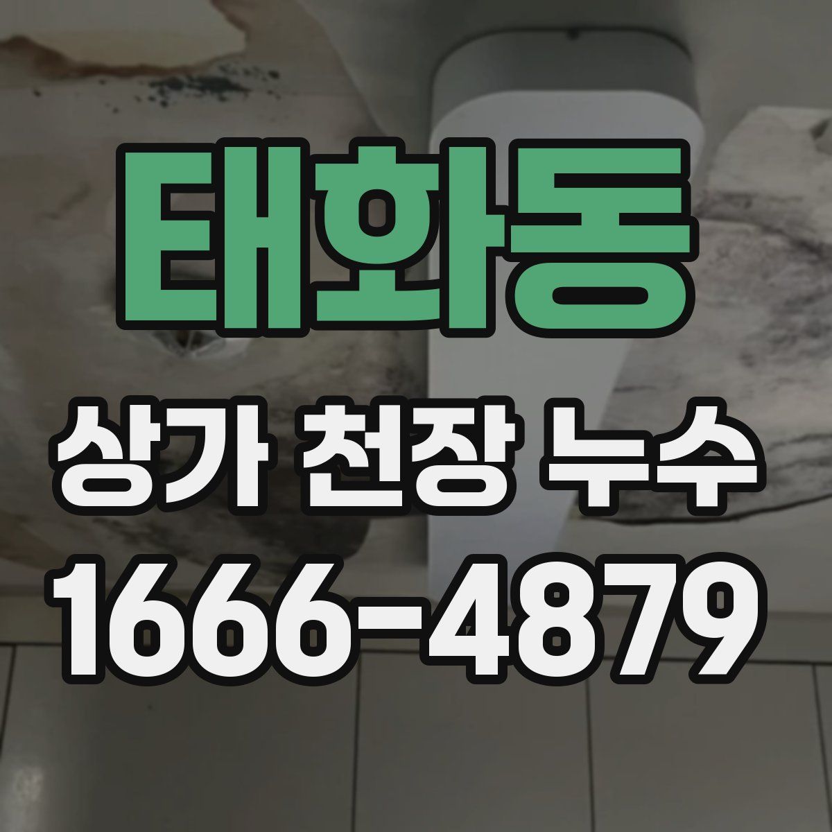 태화동 상가 천장 누수