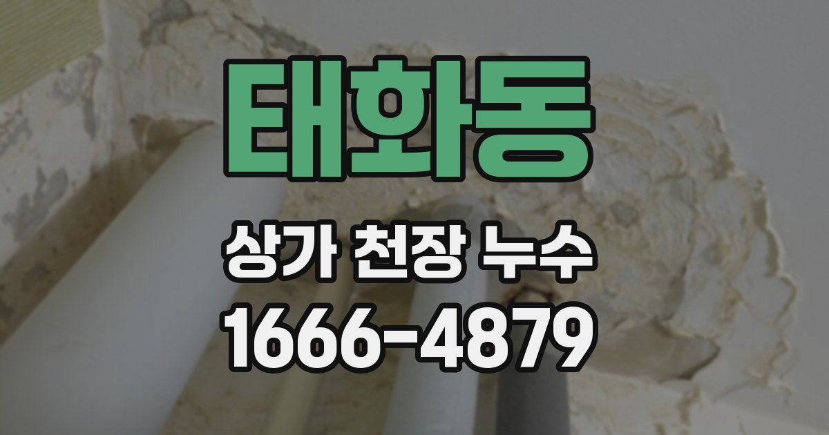 태화동 상가 천장 누수