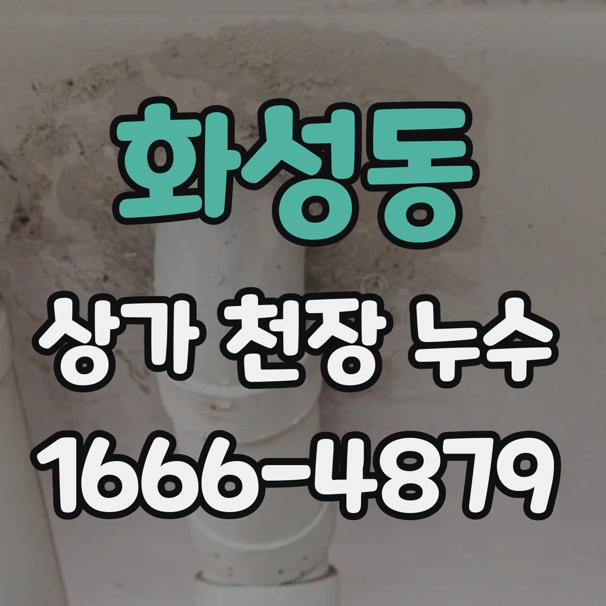 화성동 상가 천장 누수
