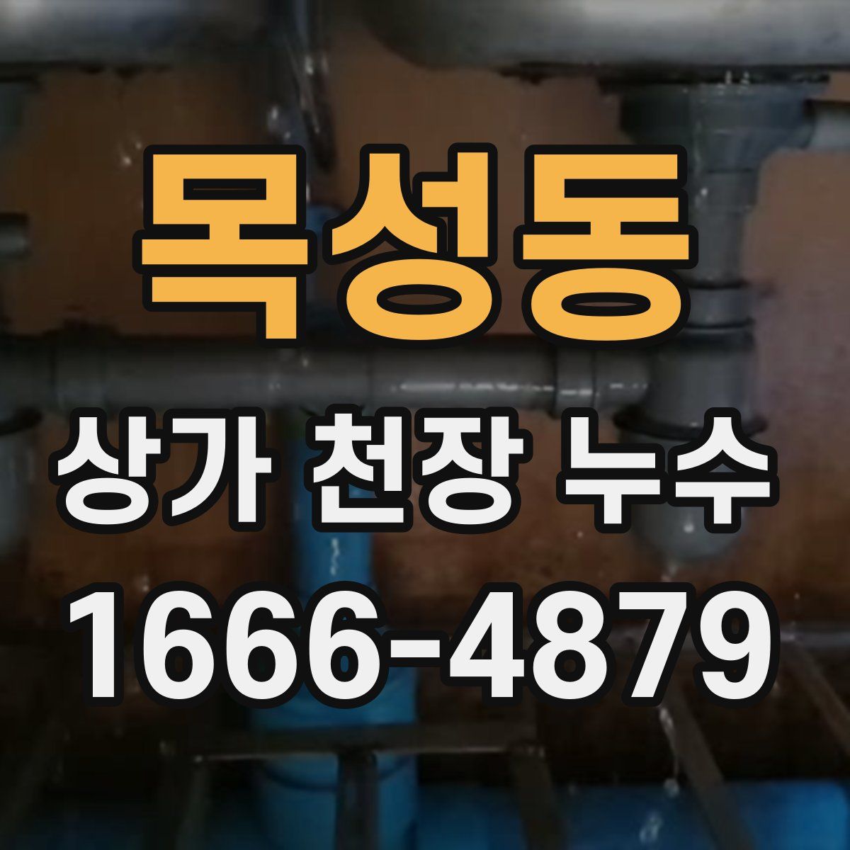 목성동 상가 천장 누수