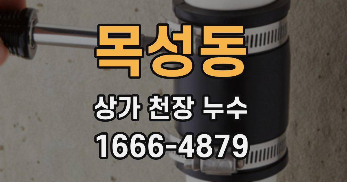 목성동 상가 천장 누수