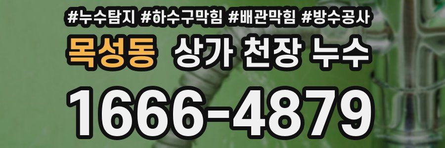 목성동 상가 천장 누수