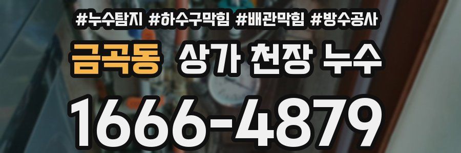금곡동 상가 천장 누수
