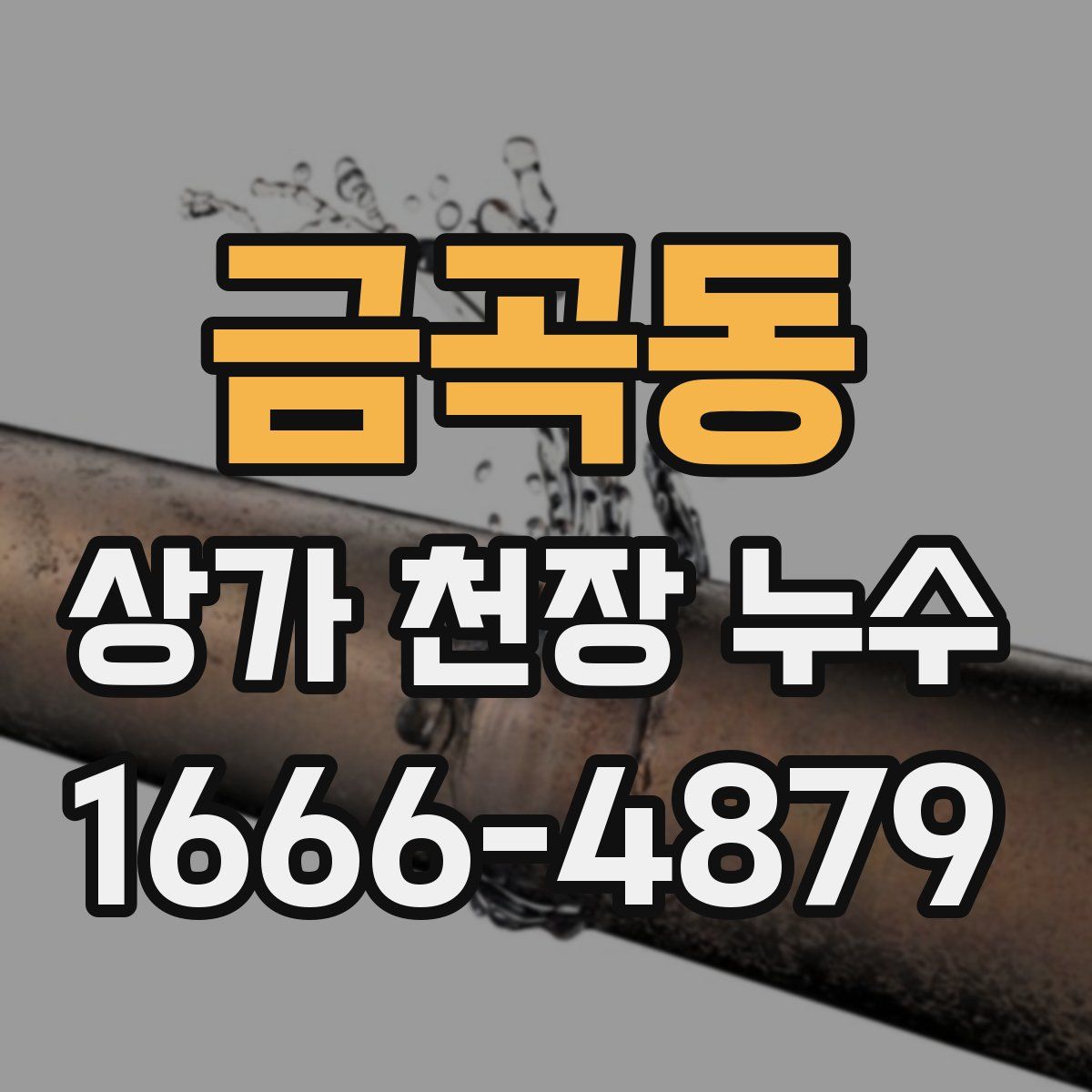 금곡동 상가 천장 누수