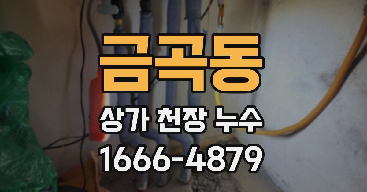 금곡동 상가 천장 누수