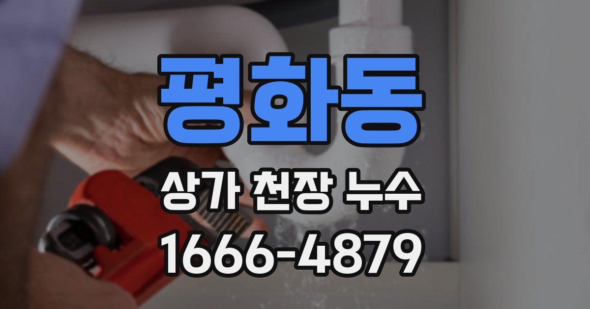 평화동 상가 천장 누수