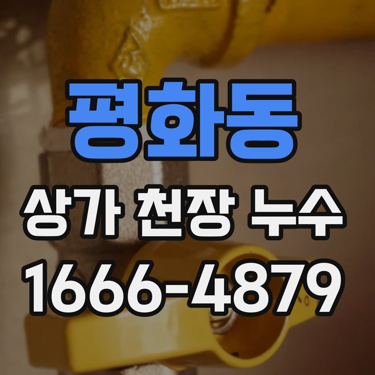 평화동 상가 천장 누수