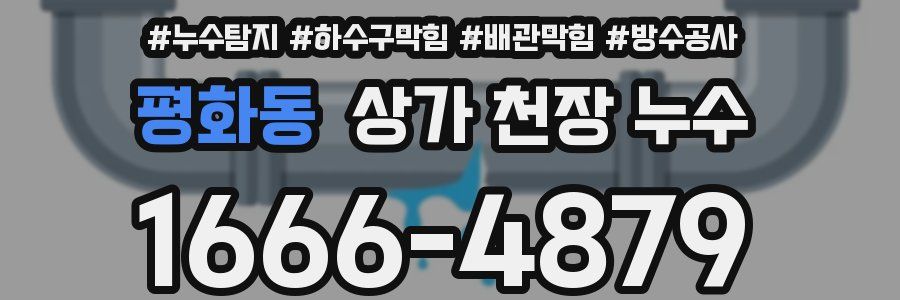 평화동 상가 천장 누수