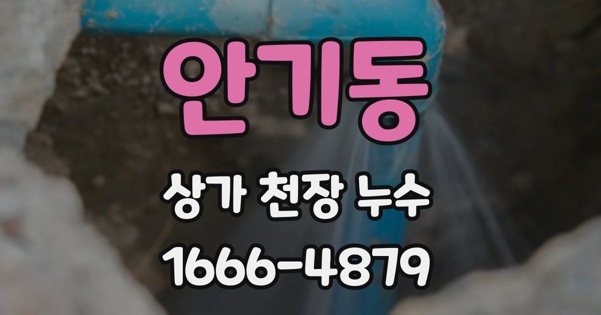 안기동 상가 천장 누수