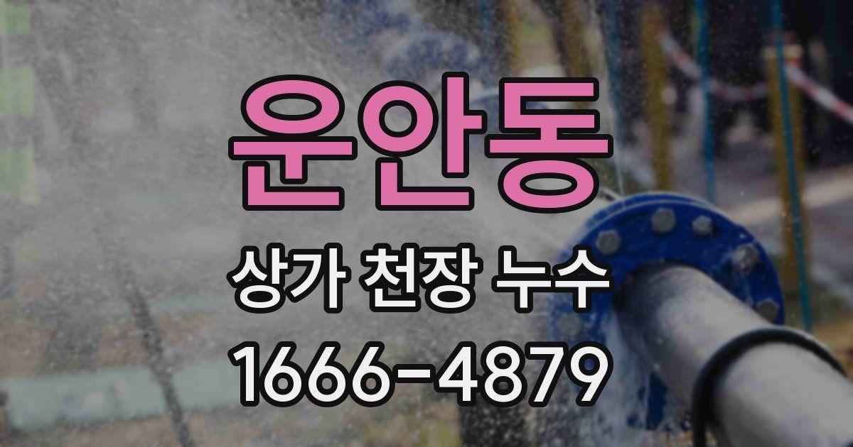 운안동 상가 천장 누수