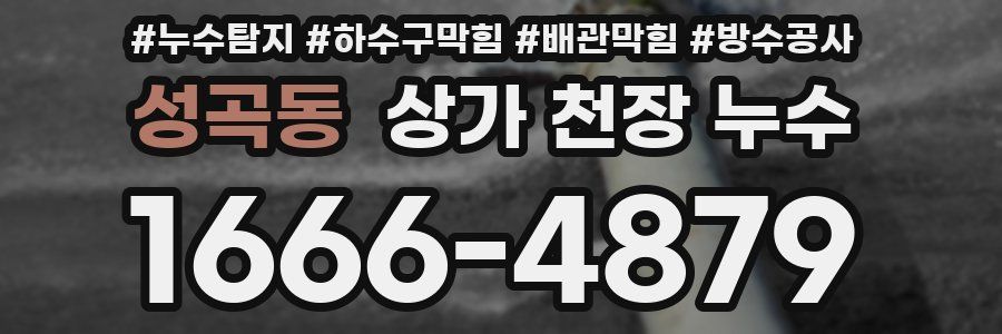 성곡동 상가 천장 누수