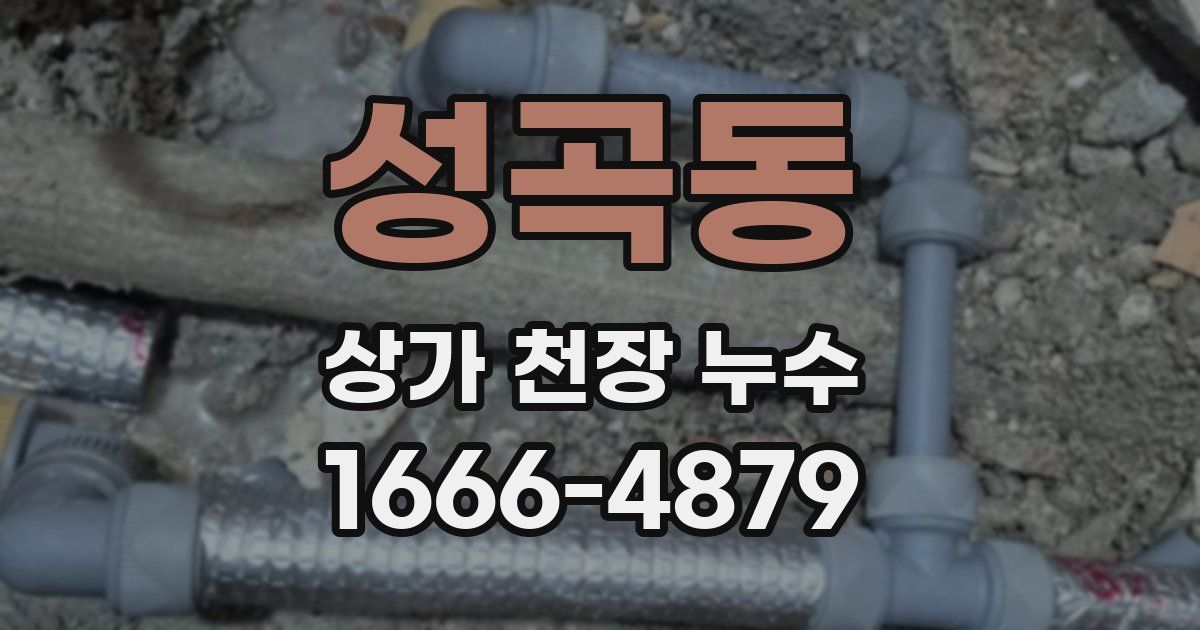 성곡동 상가 천장 누수