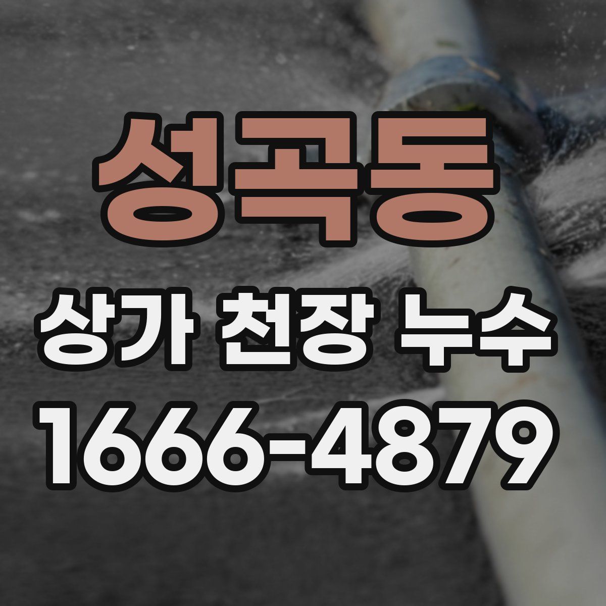 성곡동 상가 천장 누수