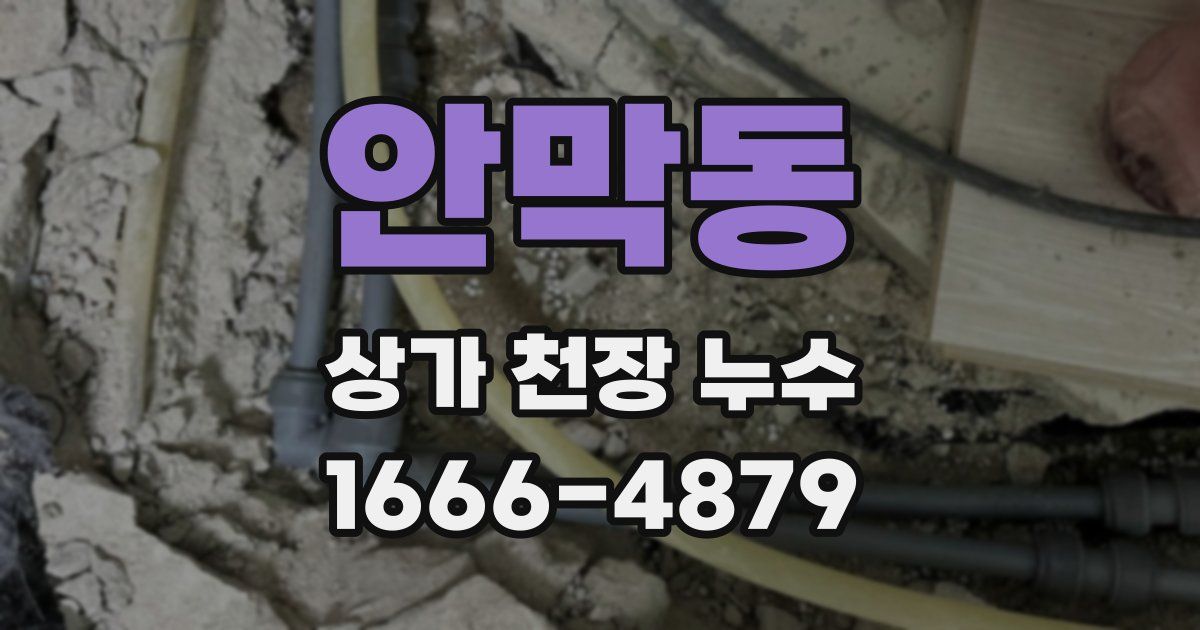안막동 상가 천장 누수