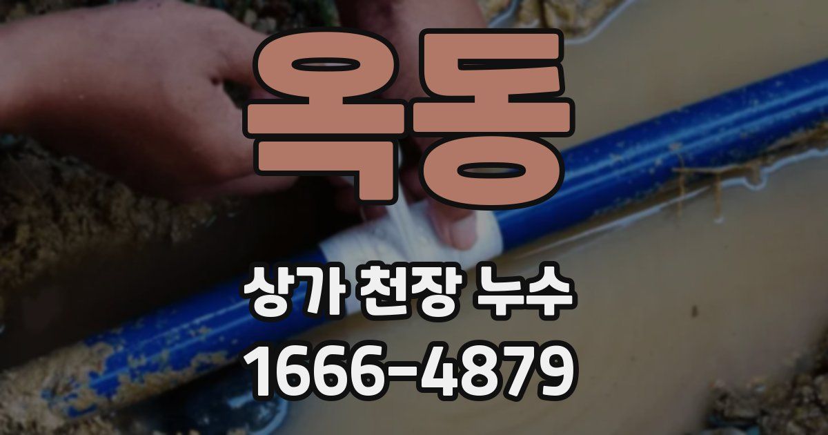 옥동 상가 천장 누수