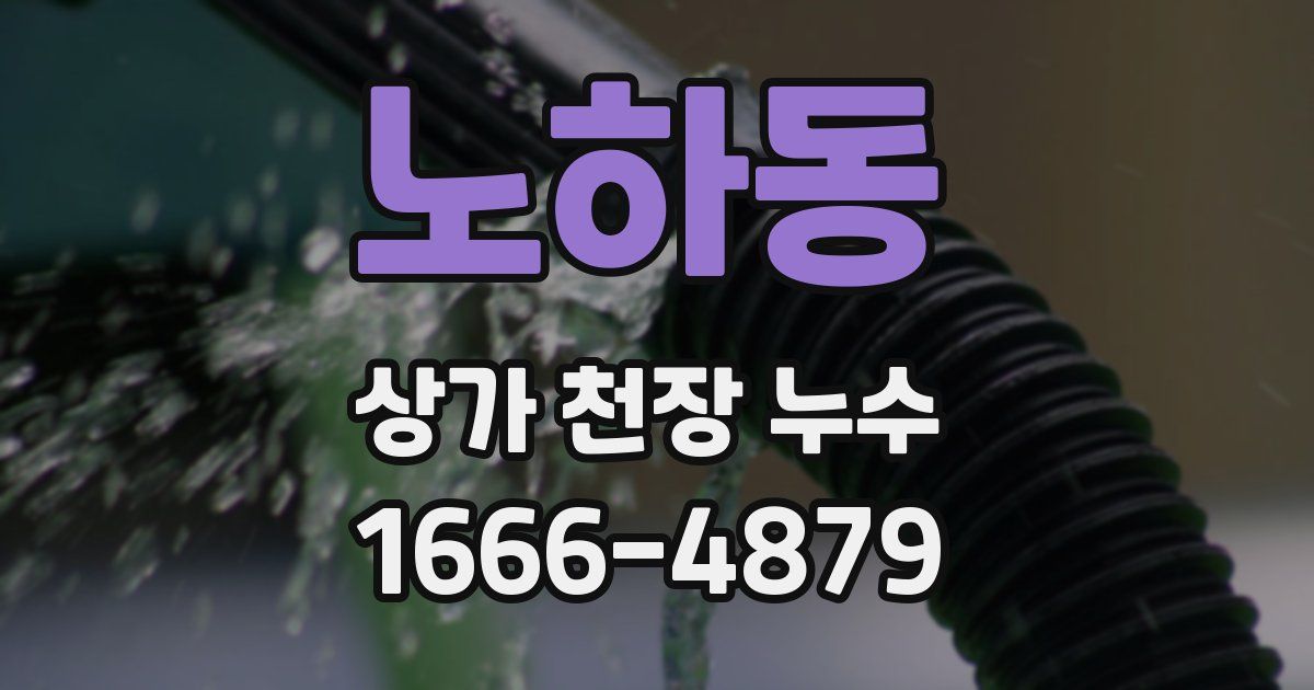 노하동 상가 천장 누수