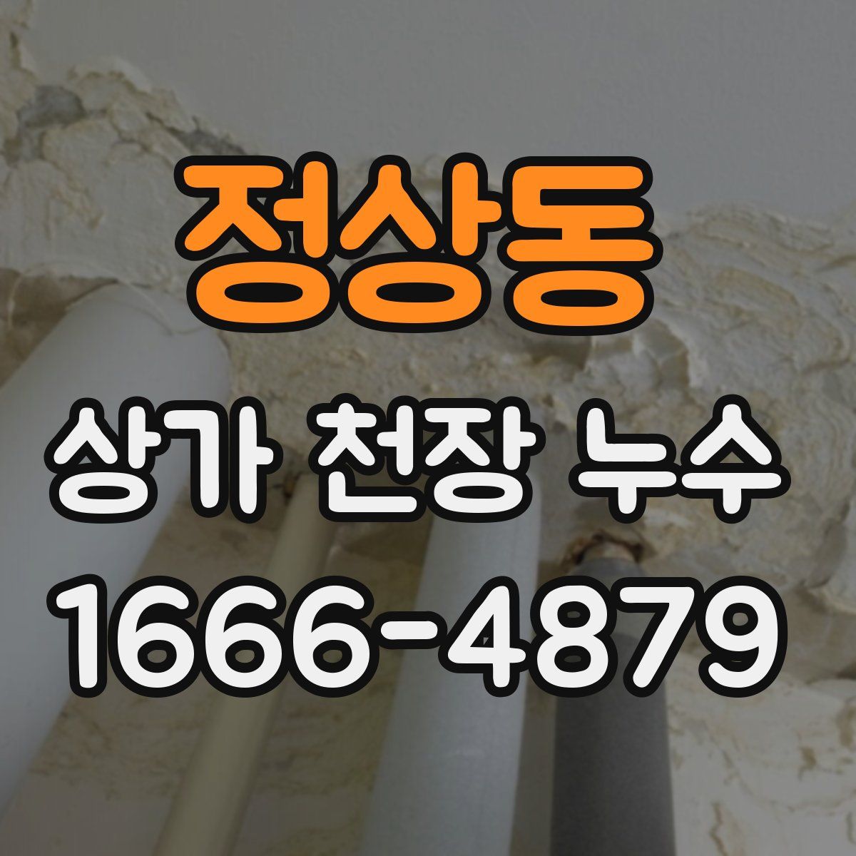정상동 상가 천장 누수